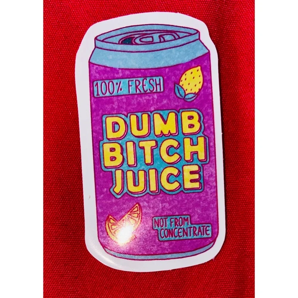 Sassy Sticker Bundle Water Bottle, Laptop Etc
